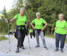 Die Stöcke sind mit dabei