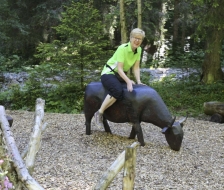 Wie weit sie wohl getragen wurde?