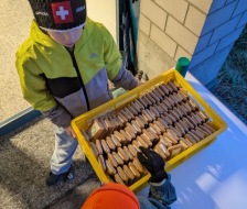 6d6814b7-e7f1-4195-87bf-dc784ea4e21b