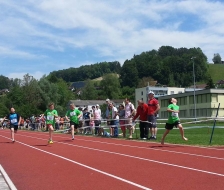 Hopp hopp!
