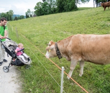 Bekanntschaften zwischen Mensch und Tier