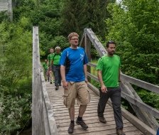 Auf dem Rückweg durch den Hexenwald