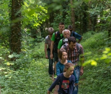 über Felder und durch Wälder