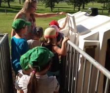 Die Kälblibox wird umringt