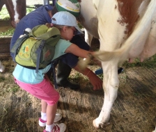 Wie melkt mann denn eigentlich selber?