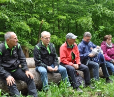 Wie die Hühner auf der Stange