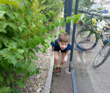 Hinter Häuschen, unter Hecken...