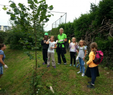 Manche Wiesenflächen haben es auch in sich