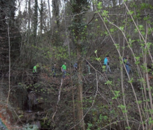 Da wandern sie, die Teilnehmer/-innen!