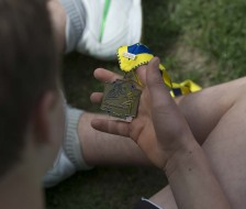 Ein schönes Andenken!