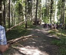 Holz ranschaffen