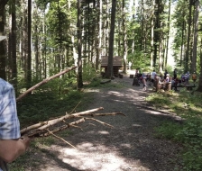 Holz ranschaffen