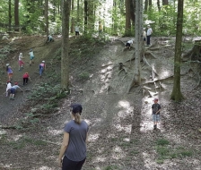 Wurzelwerk als Klettergerüst