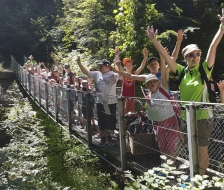 Die Brücke hält!