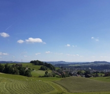 Top Aussicht!