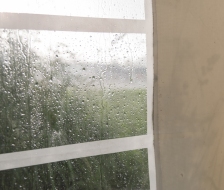 Plötzlich war der Regen da!