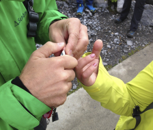 Kleine Manicure gefällig?
