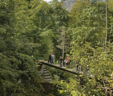 Inmitten von Bäumen