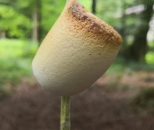 20180617_jr_jugireise_025_web