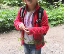 20180617_jr_jugireise_029_web