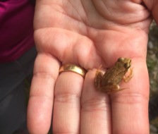 20180818_ar_turnfahrt_040_web