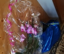 20181114_tv_turnshow2018_025_web