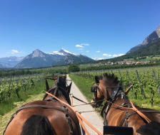 20190608_fr_frauenriegenreise_011_web