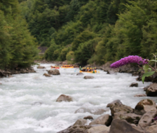 20190817_ar_turnfahrt_019-6_web