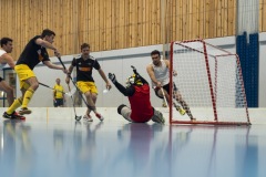 Toggenburger Spieltag 2019