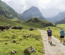 1_20200815_ar_turnfahrt_031_web