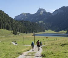 1_20200815_ar_turnfahrt_056_web