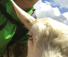 1_20200815_ar_turnfahrt_084_web