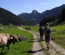 1_20200815_ar_turnfahrt_090_web