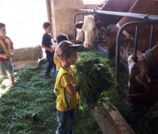 1_20200905_jr_bauernhofbesuch_003_web