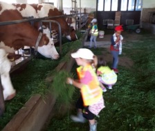 1_20200905_jr_bauernhofbesuch_004_web