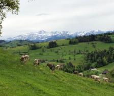 20210528_Maibummel_10