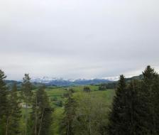 20210528_Maibummel_16