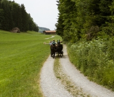 20210620_jugireise_45