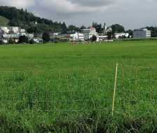 WhatsApp-Image-2021-09-12-at-4.35.59-PM-3