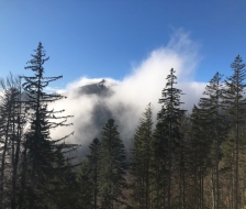 WhatsApp-Image-2023-01-10-at-13.02.09