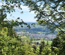 WhatsApp-Image-2024-05-20-at-15.47.06-1