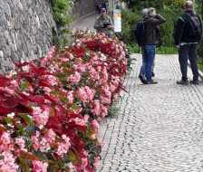 WhatsApp-Image-2024-09-14-at-09.55.43-1